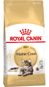 רויאל קנין מיין קון 4 ק"ג Royal Canin Maine Coon