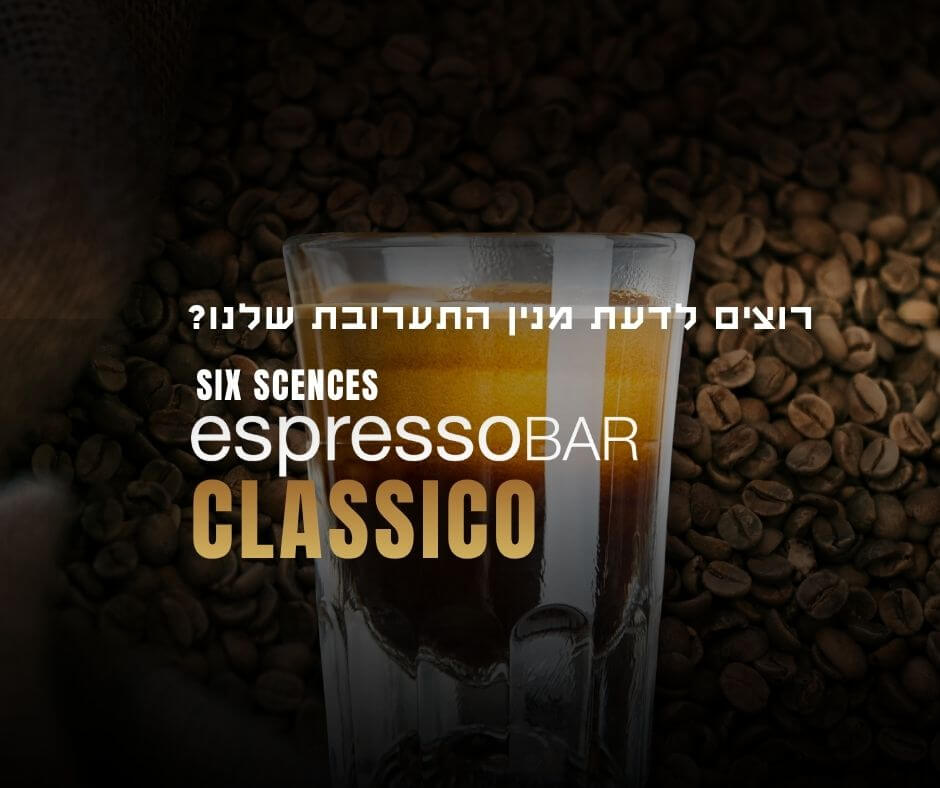 ששת המופלאים של אספרסו בר