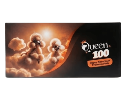 QUEEN קווין פדים עם ספיגה מוגברת 100 יח'