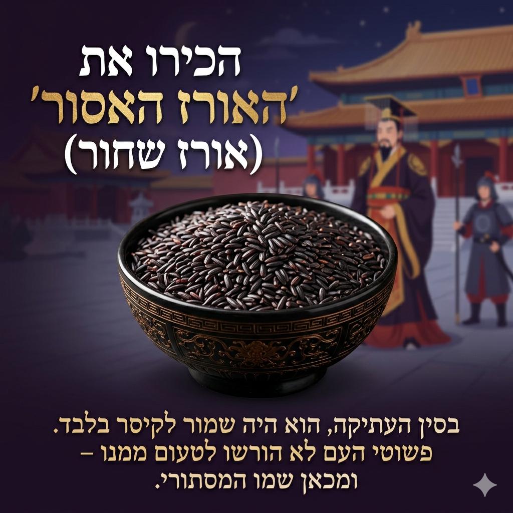 אורז שחור (האורז ״האסור״) 1 קילו