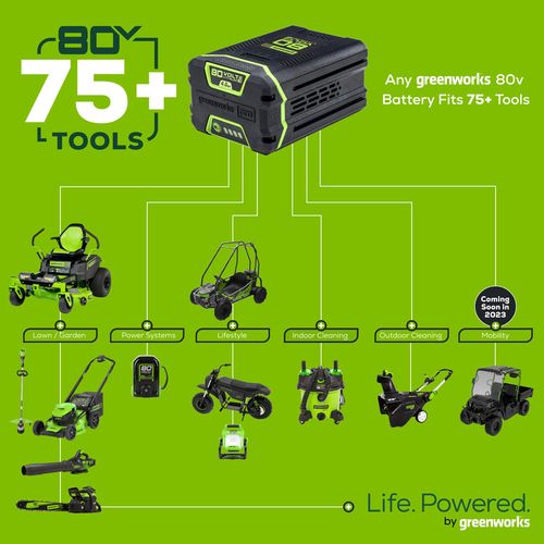 מסור גיזום על מוט נטען Greenworks PS80L210 מק