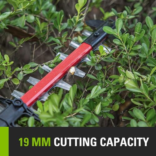 גוזם גדר חיה טלסקופי Greenworks G80PHT מק