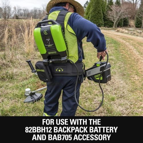 יחידת כח נישאת Greenworks 2946802 Pro 80V Dual Port - סוללת גב עם תא כפול לשתי סוללות, כבל ומתאם סוללת דמה להפעלת כל כלי גינון 80V Pro