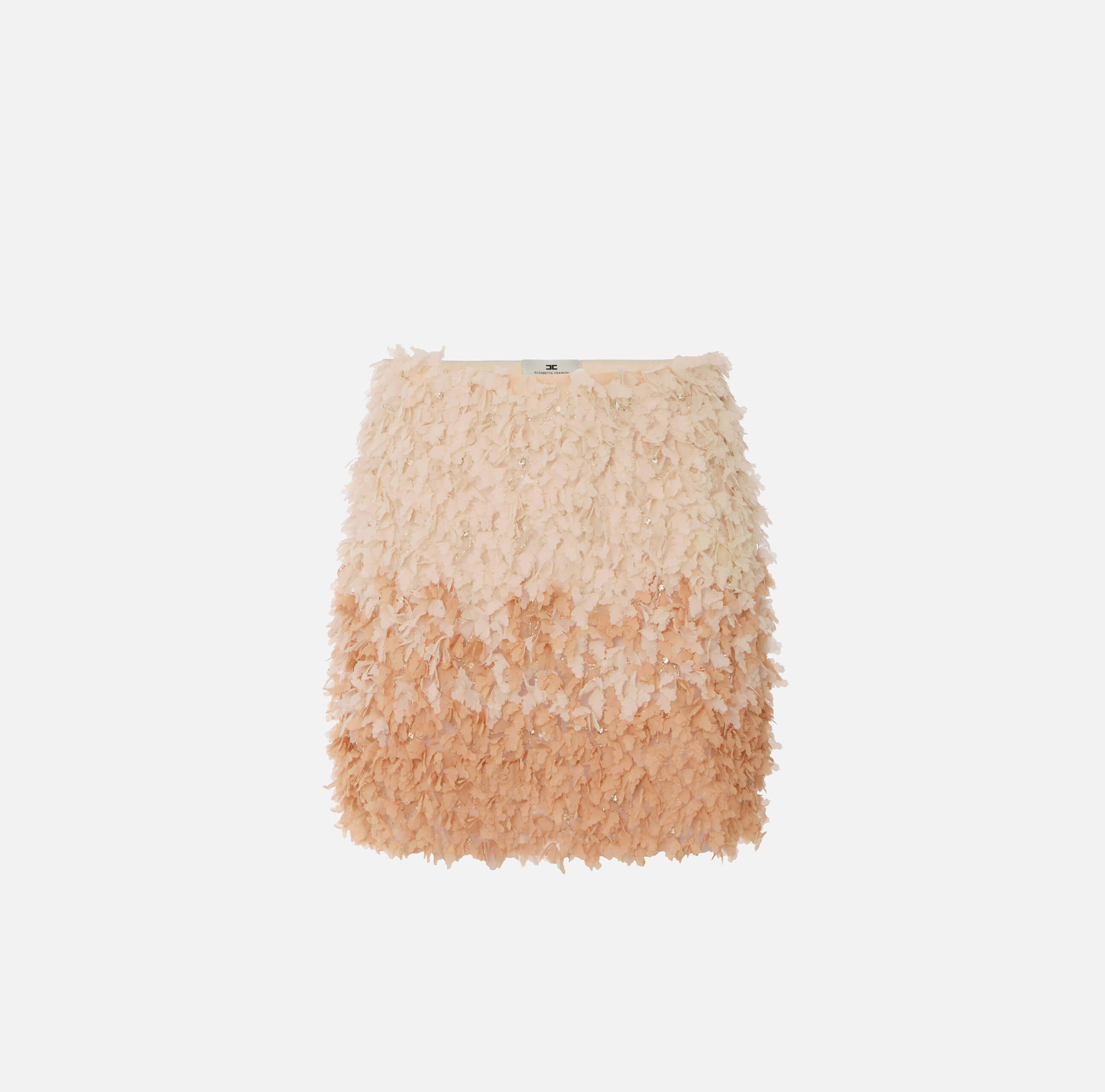 Tulle miniskirt with floral embroideries