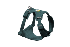 רתמת FRONT RANGE FLEX HARNESS בצבע DEEP TEAL