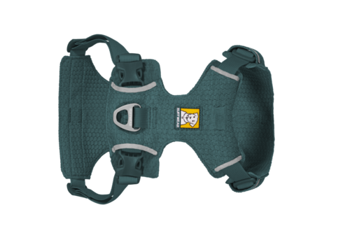 רתמת FRONT RANGE FLEX HARNESS בצבע DEEP TEAL
