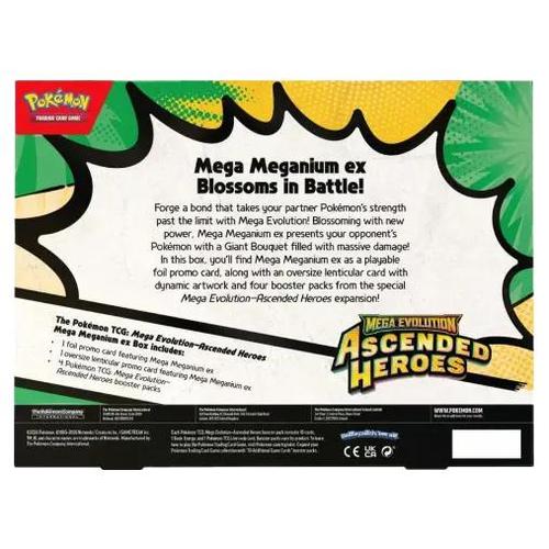 TCG Cards Box – מארז Pokémon Ascended Heroes Mega Meganium EX