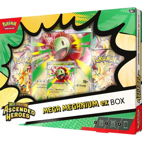 TCG Cards Box – מארז Pokémon Ascended Heroes Mega Meganium EX