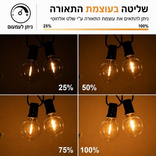 גרילנדה סולארית 10 נורות עם שלט אלחוטי וחיבור USB