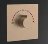 אינטרפוץ 4 דרך מרובע למקלחת סדרת דקל רוז גולד מט 1704RG סיוון אופיר