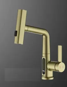 ברז מטבח נשלף 3 מצבי זרימה וצג דיגיטלי זהב מט 1024YB סיוון אופיר