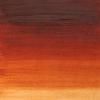 WINTON שפ' 37מ"ל - Burnt Sienna