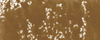 צבע הדפס 20מ"ל 400 Blockprint חום Brown