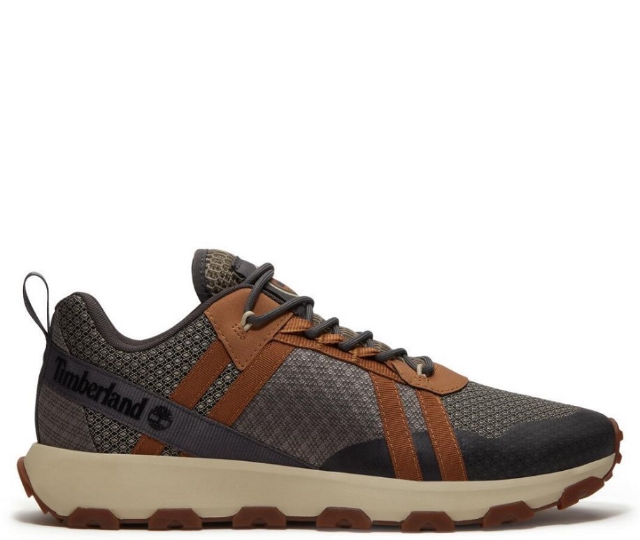 נעלי טימברלנד Timberland Winsor Trail Lace Up | גברים