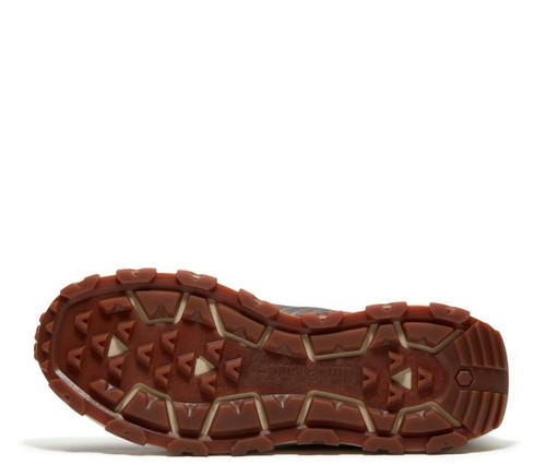נעלי טימברלנד Timberland Winsor Trail Lace Up | גברים