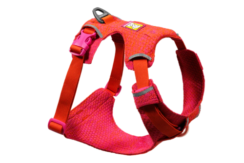 רתמת FRONT RANGE FLEX HARNESS בצבע ROSE VIOLET