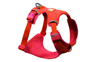 רתמת FRONT RANGE FLEX HARNESS בצבע ROSE VIOLET