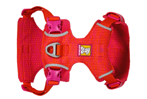 רתמת FRONT RANGE FLEX HARNESS בצבע ROSE VIOLET