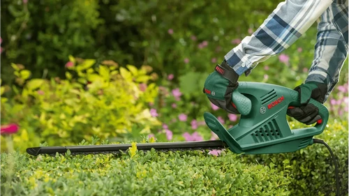 מגזמת חשמלית BOSCH EasyHedgeCut 45 בזמן גיזום גדר חיה בגינה ביתית עם עיצוב ארגונומי ולהב חד לחיתוך מדויק ונקי