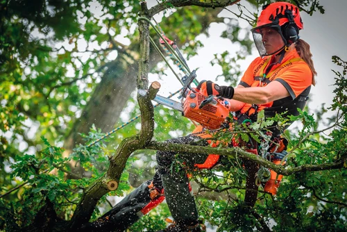 גוזמת עצים מקצועית משתמשת במשור הנפה Husqvarna T525 לגיזום ענפים בגובה עם ציוד בטיחות מלא ומסור שרשרת מקצועי לעבודות עצים