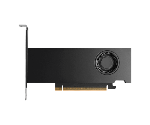 כרטיס מסך PNY NVIDIA RTX 2000 Ada/Blackwell Generation 16GB GDDR7 Bulk