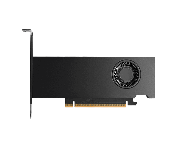 כרטיס מסך PNY NVIDIA RTX 2000 Ada/Blackwell Generation 16GB GDDR7 Bulk
