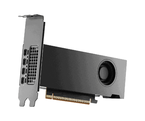 כרטיס מסך PNY NVIDIA RTX 2000 Ada/Blackwell Generation 16GB GDDR7 Bulk