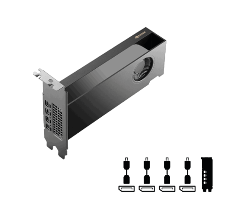 כרטיס מסך PNY NVIDIA RTX 2000 Ada/Blackwell Generation 16GB GDDR7 Bulk