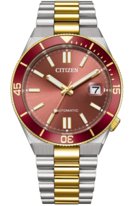 Citizen NJ0234-58X TSUYOSA אוטומטי זכוכית ספיר