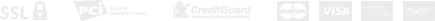 payment_icon