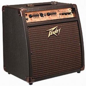 מגבר לגיטרה אקוסטית ECOUSTIC 110EFX