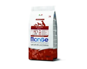 MONGE מונג