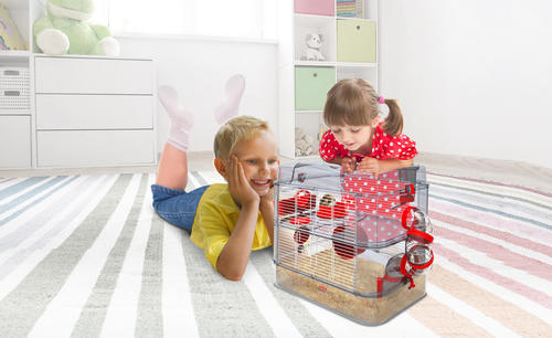זולוקס רודי דו כלוב אדום דו קומתי קומפקטי למכרסמים קטנים Rody 3 SA Cage red 