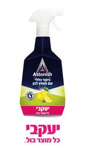 אסטוניש לניקוי כללי עם חומץ