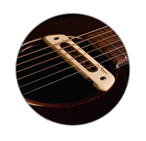פיק אפ אקטיבי / פאסיבי L.R.BAGGS M80