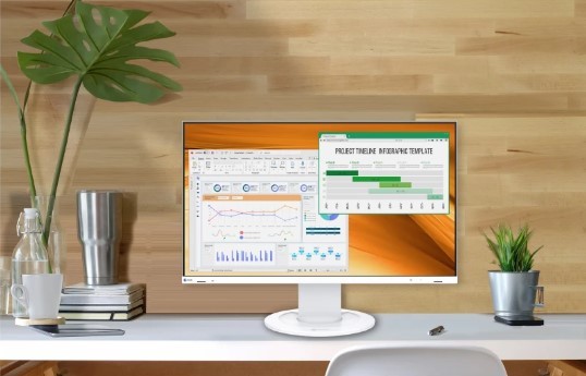מסך מחשב Eizo EV2400R 23.8