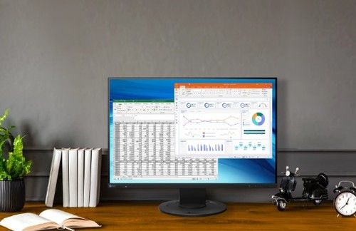 מסך מחשב EIZO FlexScan EV2410R 24.1 שחור