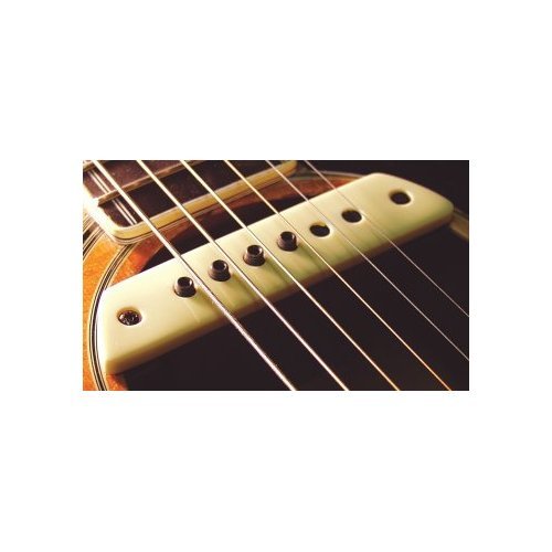 פיק אפ לתיבת תהודה L.R.BAGGS M1