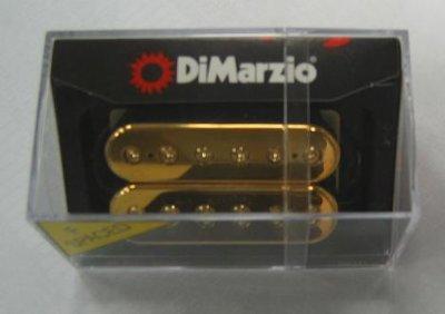 פיק אפ מוזהב לגיטרה חשמלית פרד DP153FGG