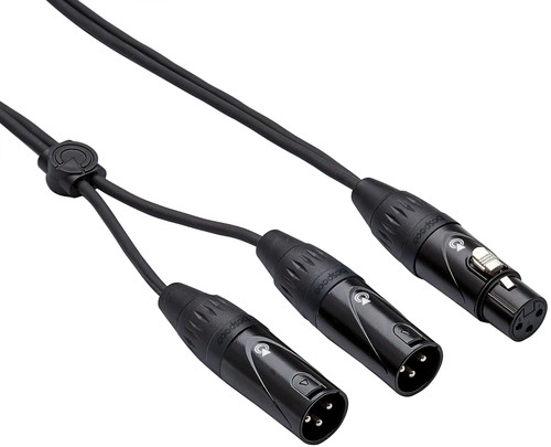 זוית נוספת bespeco eayfx2x150 interlink cable