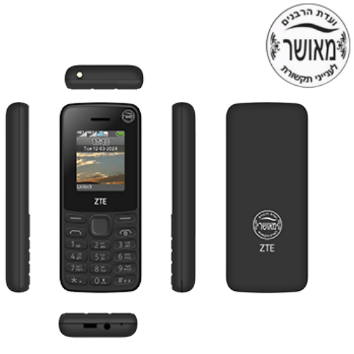 פלאפון ZTE F100