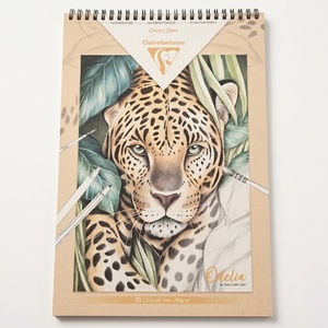 חוברת צביעה 20 דפים 250 גר חיותOdelia Wildlife A4