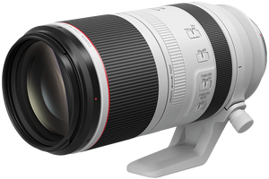 Canon RF 100-500 4.5-7.1 L IS USM