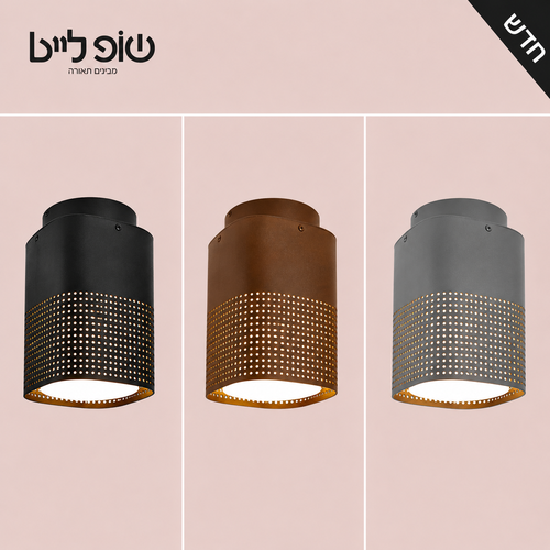 צמוד תקרה דגם 