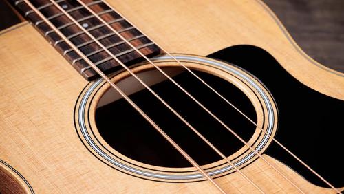 גיטרה בס אקוסטי מוגברת  Taylor GS Mini-e Bass