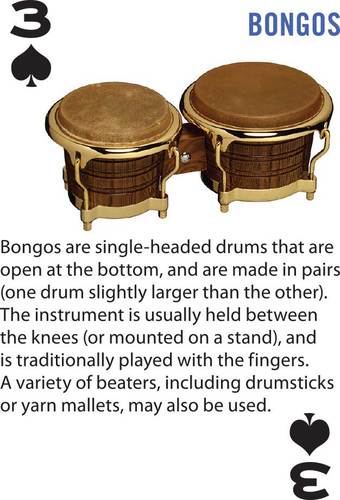 Alfred's Music Playing Cards: Percussion Instruments