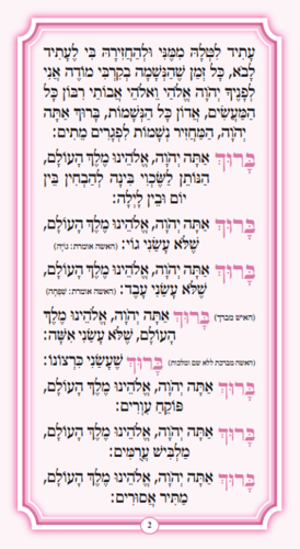 ברכות השחר עם קריאת שמע-ורוד