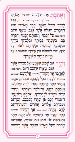 ברכות השחר עם קריאת שמע-ורוד