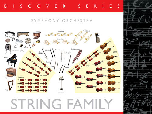 Discover the instrumets of the orchestra