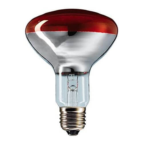 נורת רפלקטור אדום לחימום מזון 250W אינפרא אדום